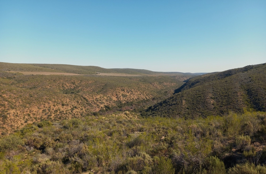 Commercial Property for Sale in George Rural Western Cape